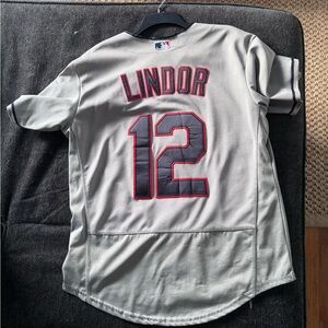 Grey Cleveland Indians retro Francisco Lindor jersey. Size 40. Like new.